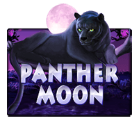 Panther Moon